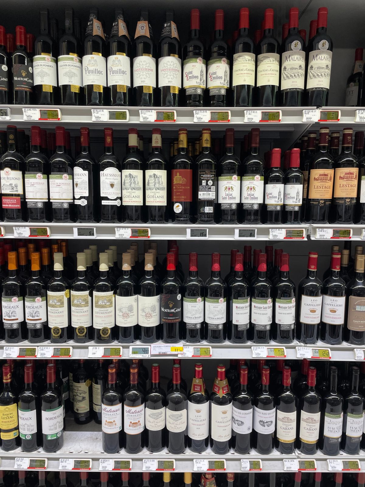 Short rib of beef paired with Barolo and rose from Rioja