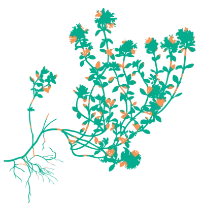 Rosso No. 1 Coste del Vivo '18