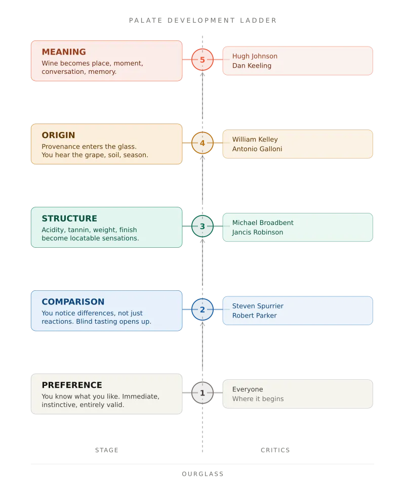 The Palate Development Ladder — five stages from preference to meaning