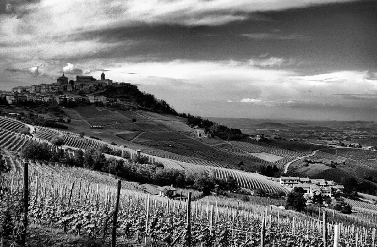 A view of the town of Barolo, Piemonte