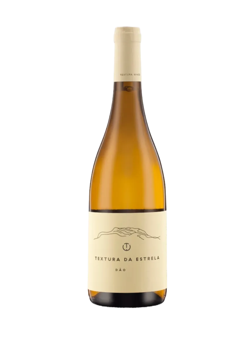 Textura da Estrela '20