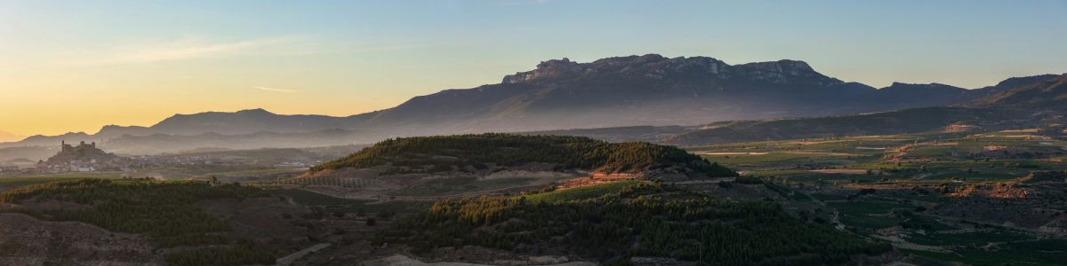 Misty Rioja landscape