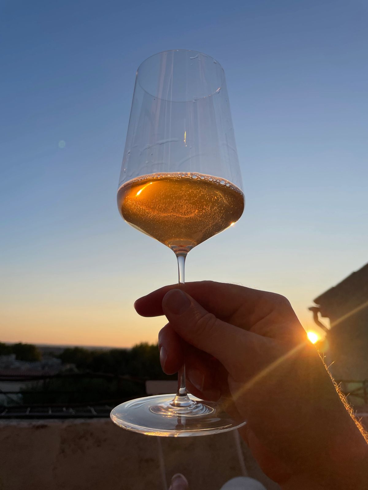 Zalto Universal wine glass in the sunset