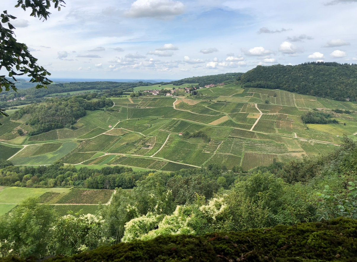 Patchwork of Jura vineyards on rolling hillsides with forested ridges and village below, seen from Château-Chalon