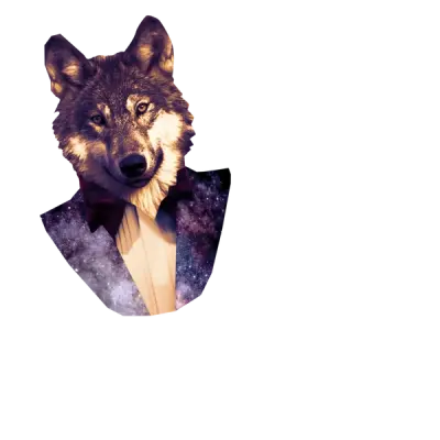 Clos de la Maréchale Nuits St Georges 1er Cru