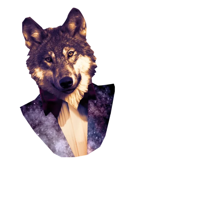 Clos de la Maréchale Nuits St Georges 1er Cru