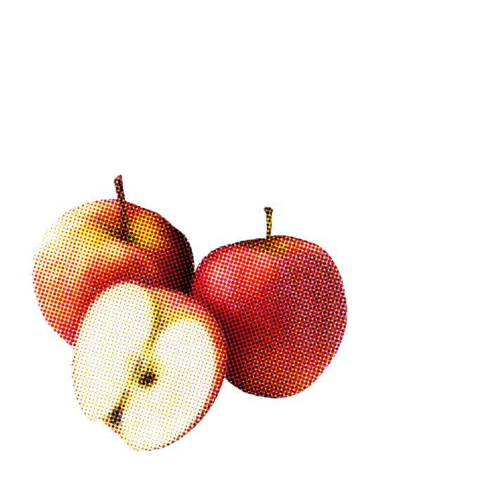 Secateurs Chenin Blanc 2024