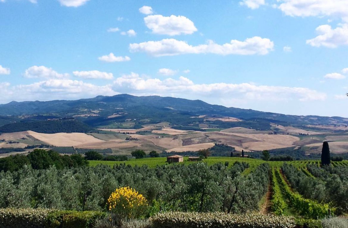 Montalcino in the haze