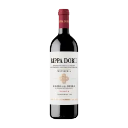 Ribera del Duero Crianza '23