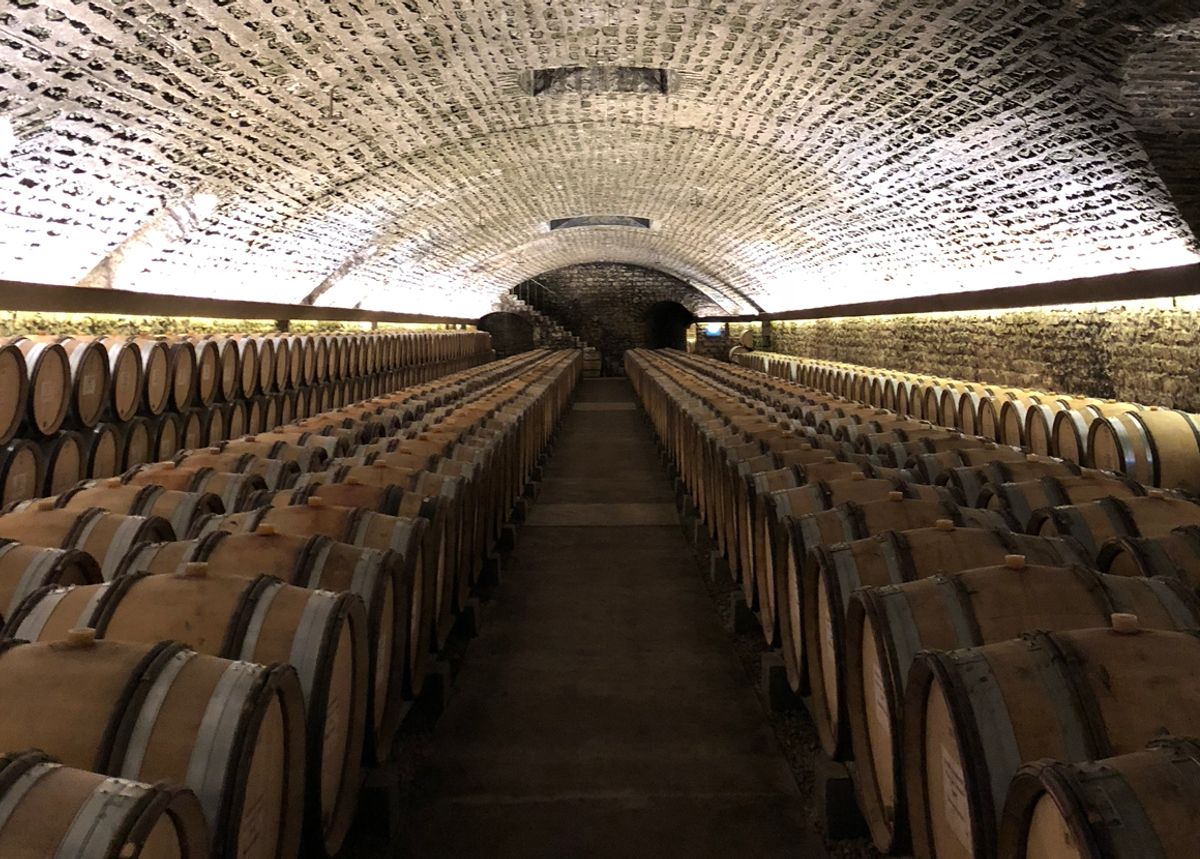 A wine cellar in Mayfair, London