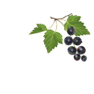 Ultreia Saint Jacques '20