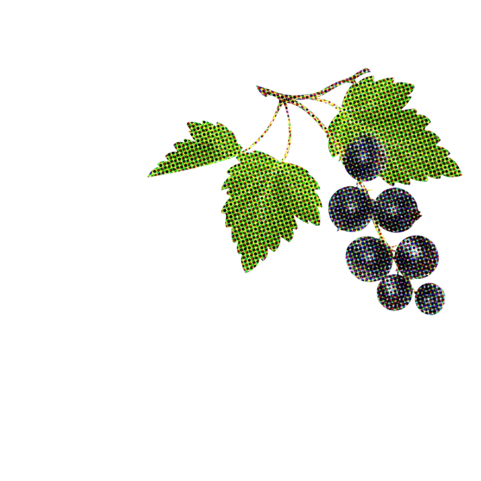 Ultreia Saint Jacques '20