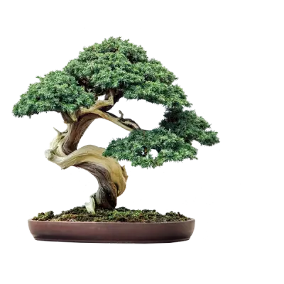 Les Perrières Bourgogne Rouge