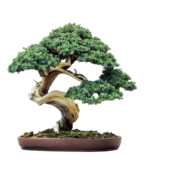 Les Perrières Bourgogne Rouge