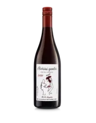 Gamay Raisins Gaulois '22