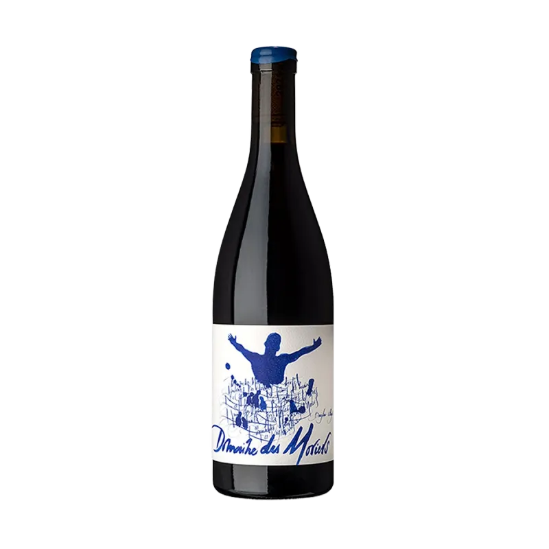 Beaujolais Villages '22