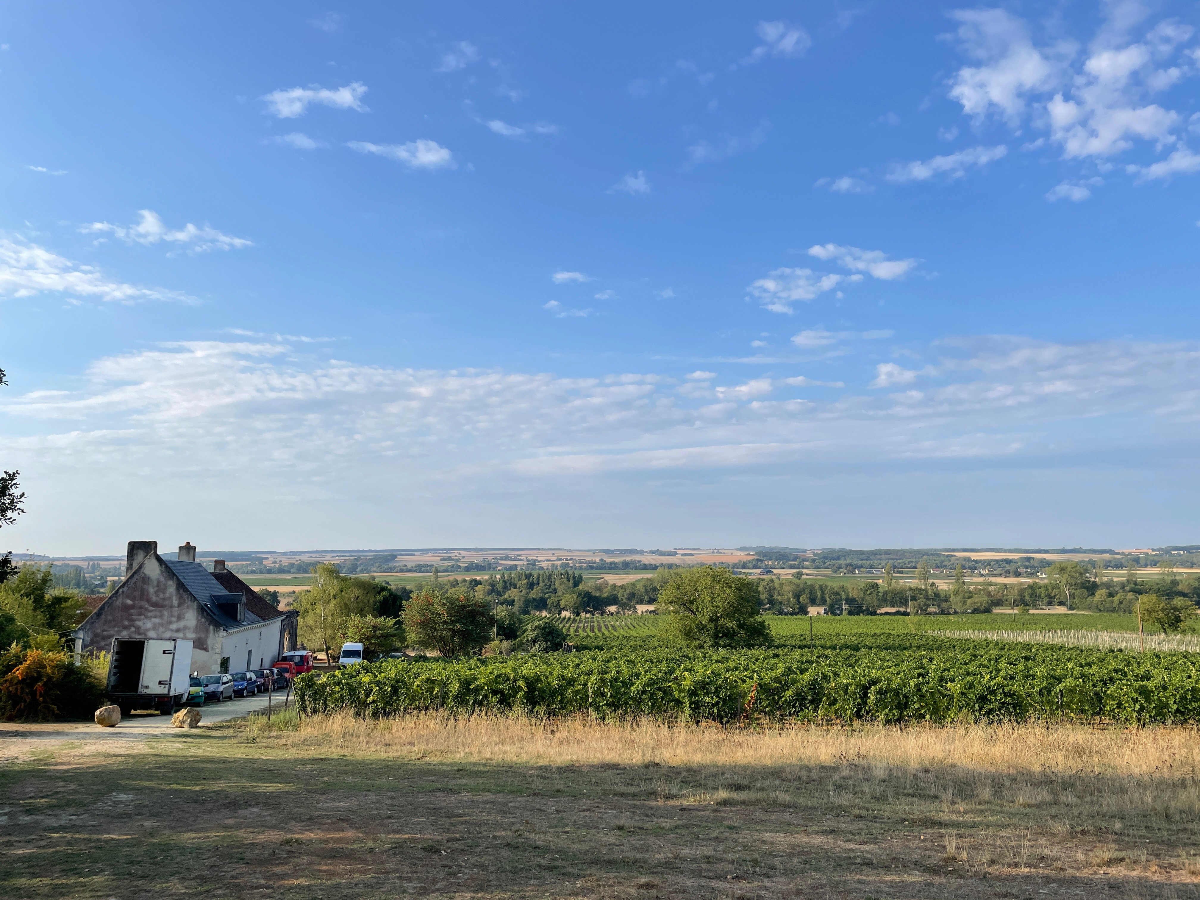Loire Valley domaine with traditional stone farmhouse overlooking vineyards and rolling countryside