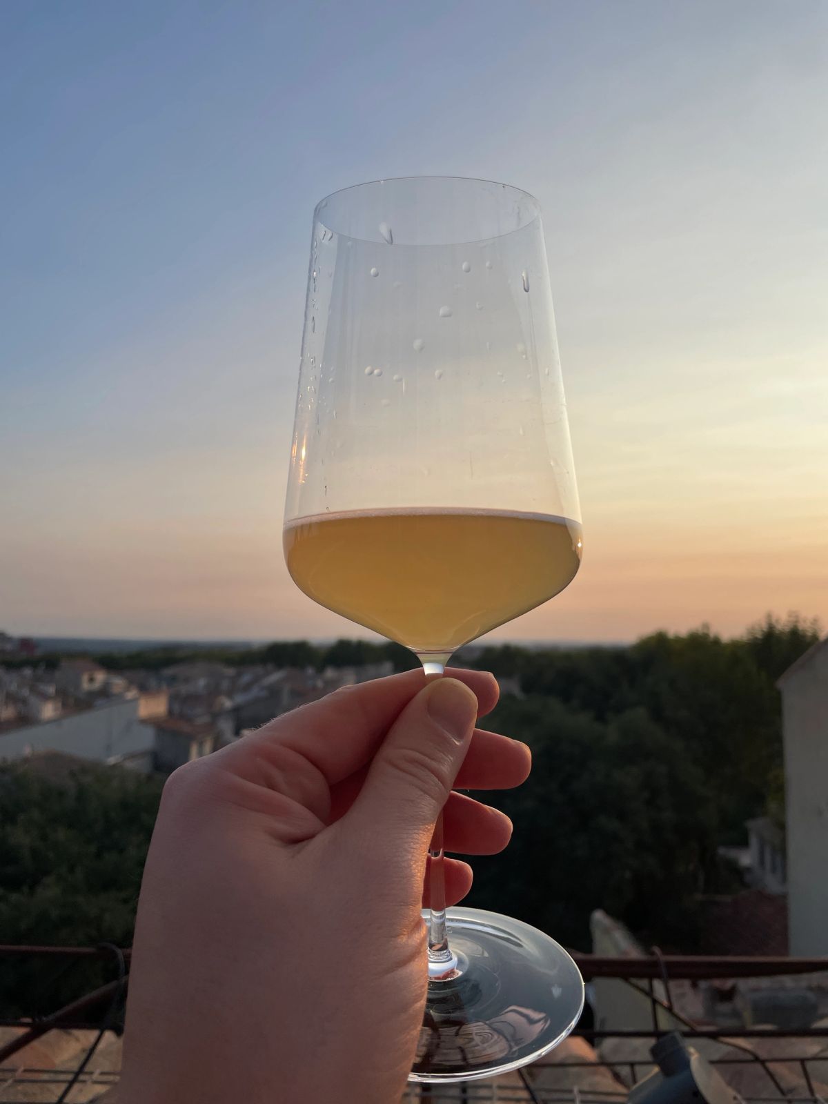 A Zalto Universal glass held aloft to a setting sunset