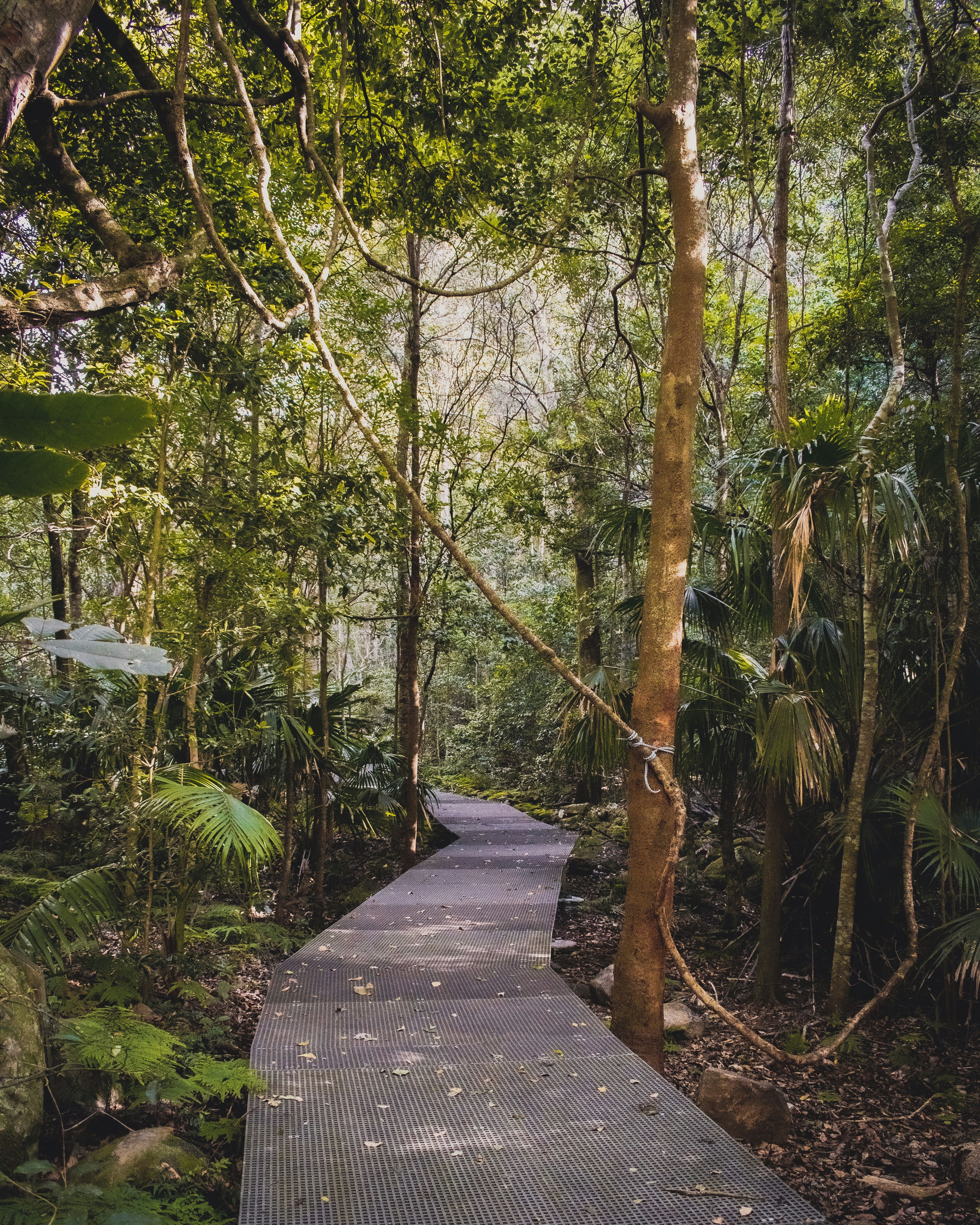 Australian national park 