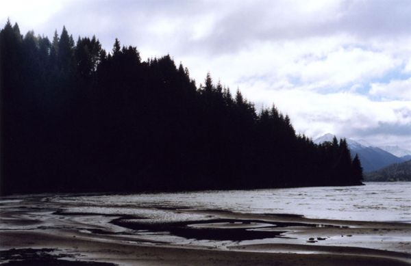 Forest-covered headland beside a wide, rippled shoreline at low tide