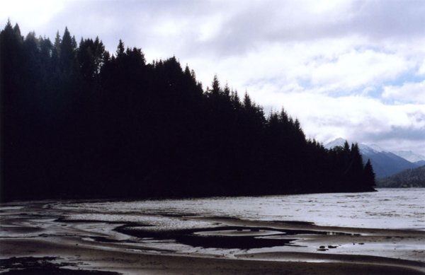 Forest-covered headland beside a wide, rippled shoreline at low tide
