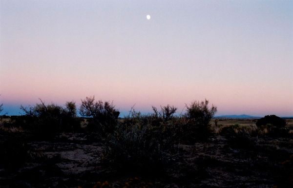 Moon over sparse desert shrubs on a flat horizon at dusk