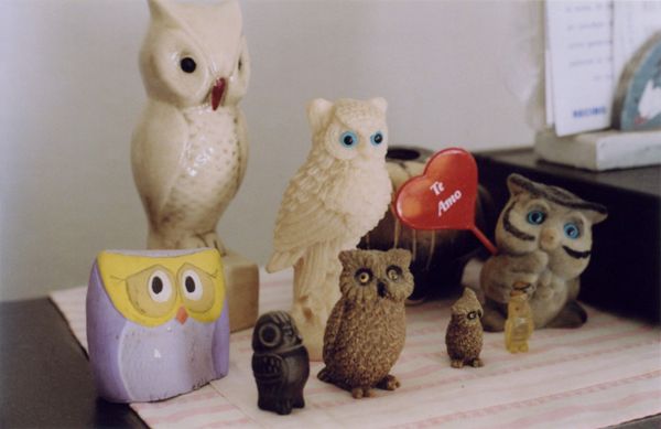 Collection of owl figurines on a table, one holding “Te amo” heart