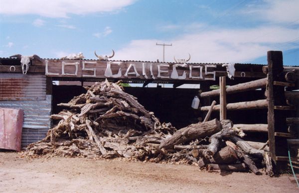 Woodpile in front of shed labeled "LOS GALLEGOS" with skull decorations