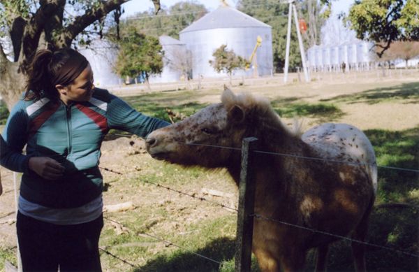 Woman petting a small spotted horse over a wire fence