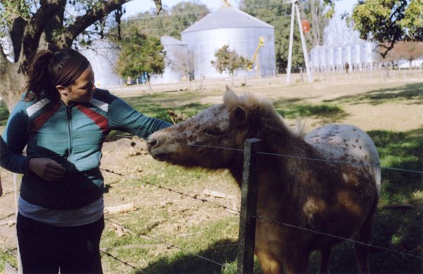 Woman petting a small spotted horse over a wire fence