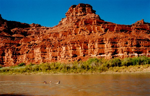 Two people float in a river below a red rock cliff