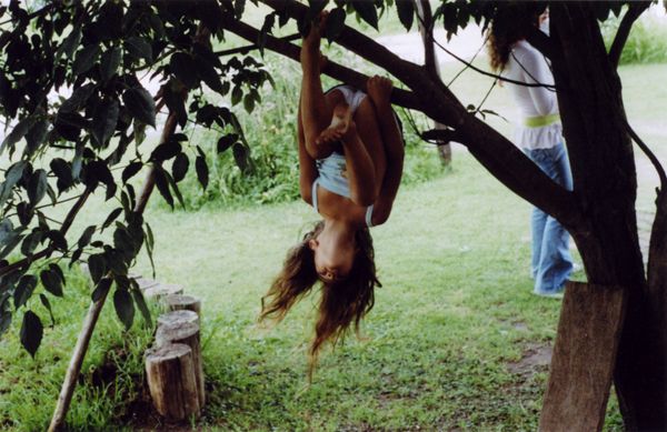 Child hanging upside down by knees from a tree branch outdoors