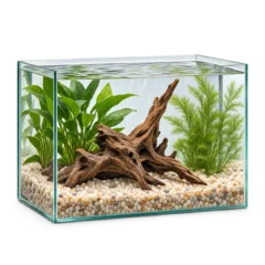 Aquariums deals