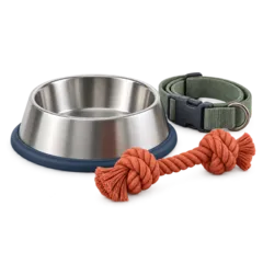 Dog Supplies deals