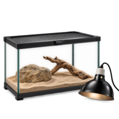 Reptile Pet Supplies deals