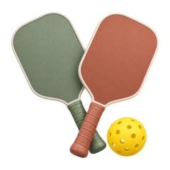 Pickleball Equipment deals