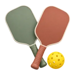 Pickleball Equipment deals