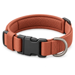 Dog Collars deals