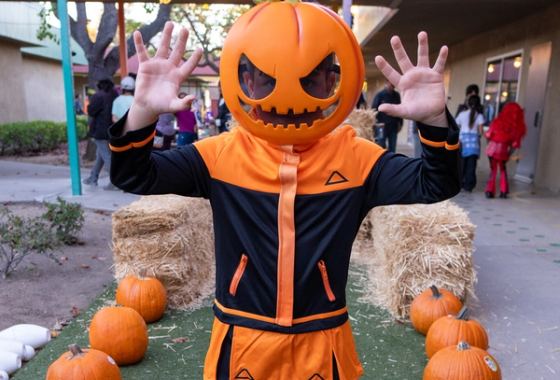 Fall Carnival