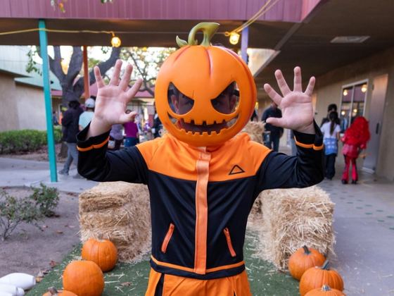 Fall Carnival