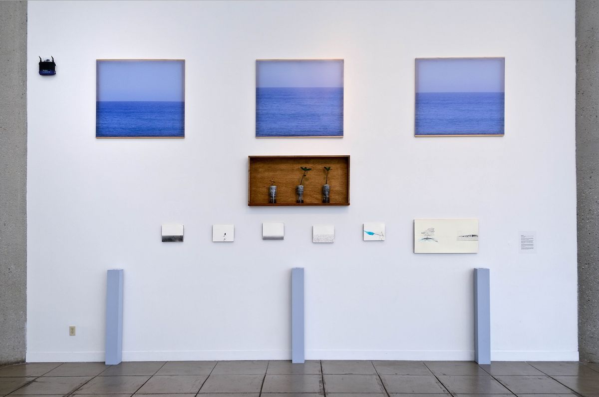 Digital prints on vellum, graphite on paper, wood, glass, plant, and water