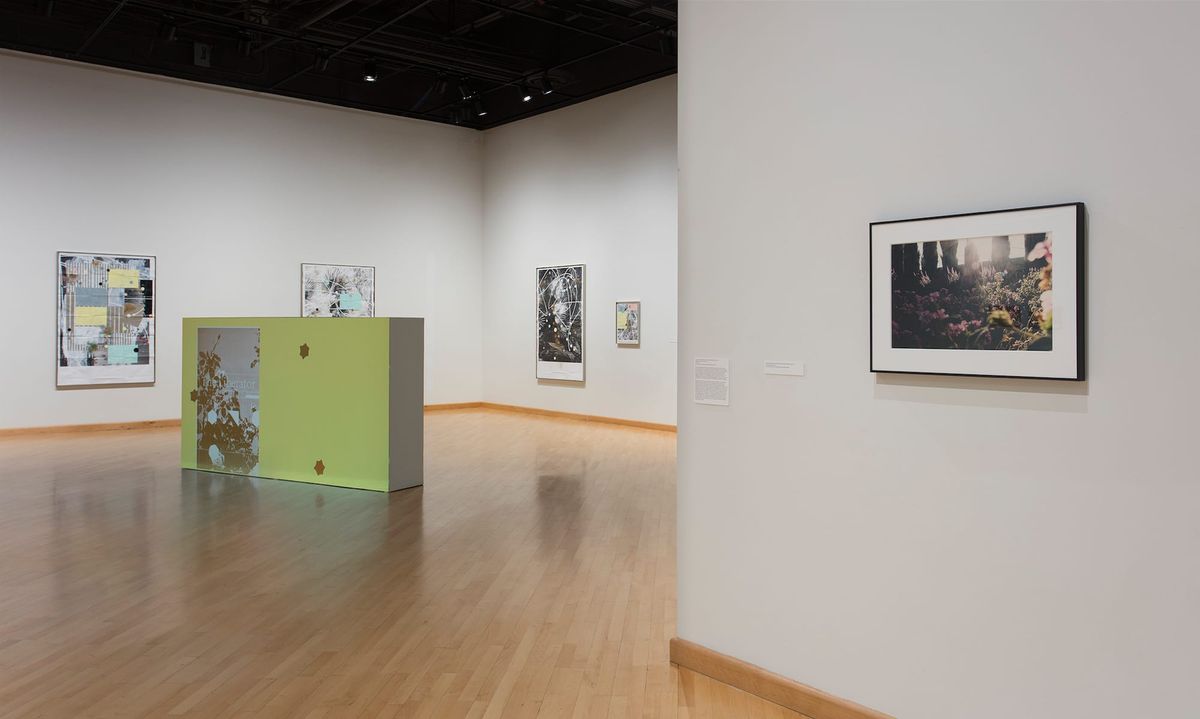 Far view of gallery space and artwork by Guerrier