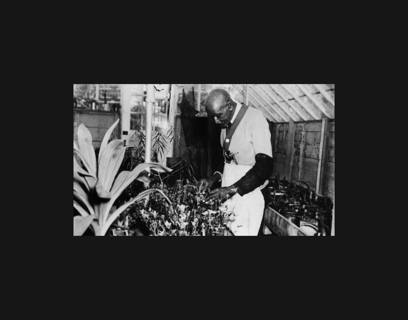 Curatorial Walkthrough: World Without End: The George Washington Carver Project