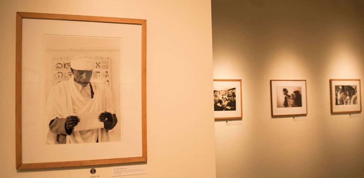 Installation view of sepia tone photographs