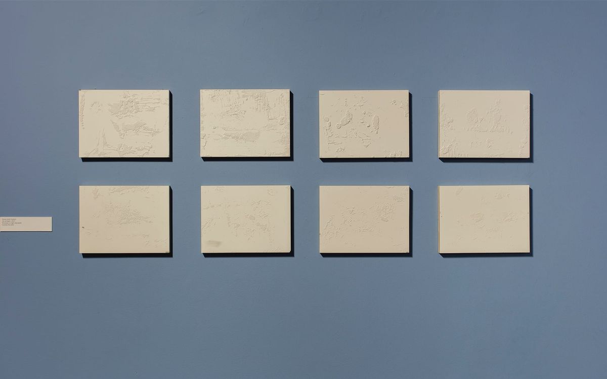 Monochromatic, topographic, mixed media in eight pieces