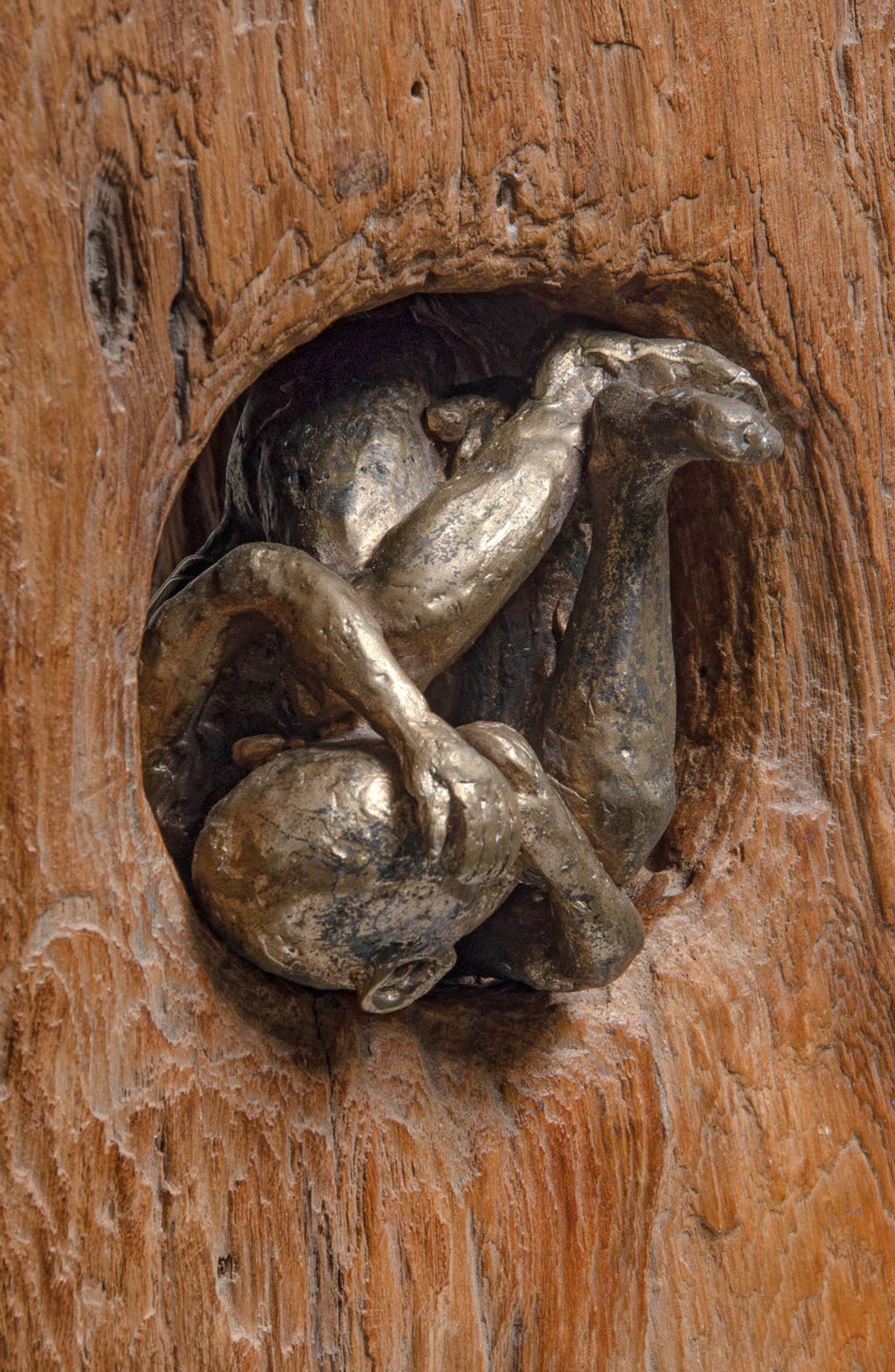 Human figure folded in fetal position and nested into teak wood knothole