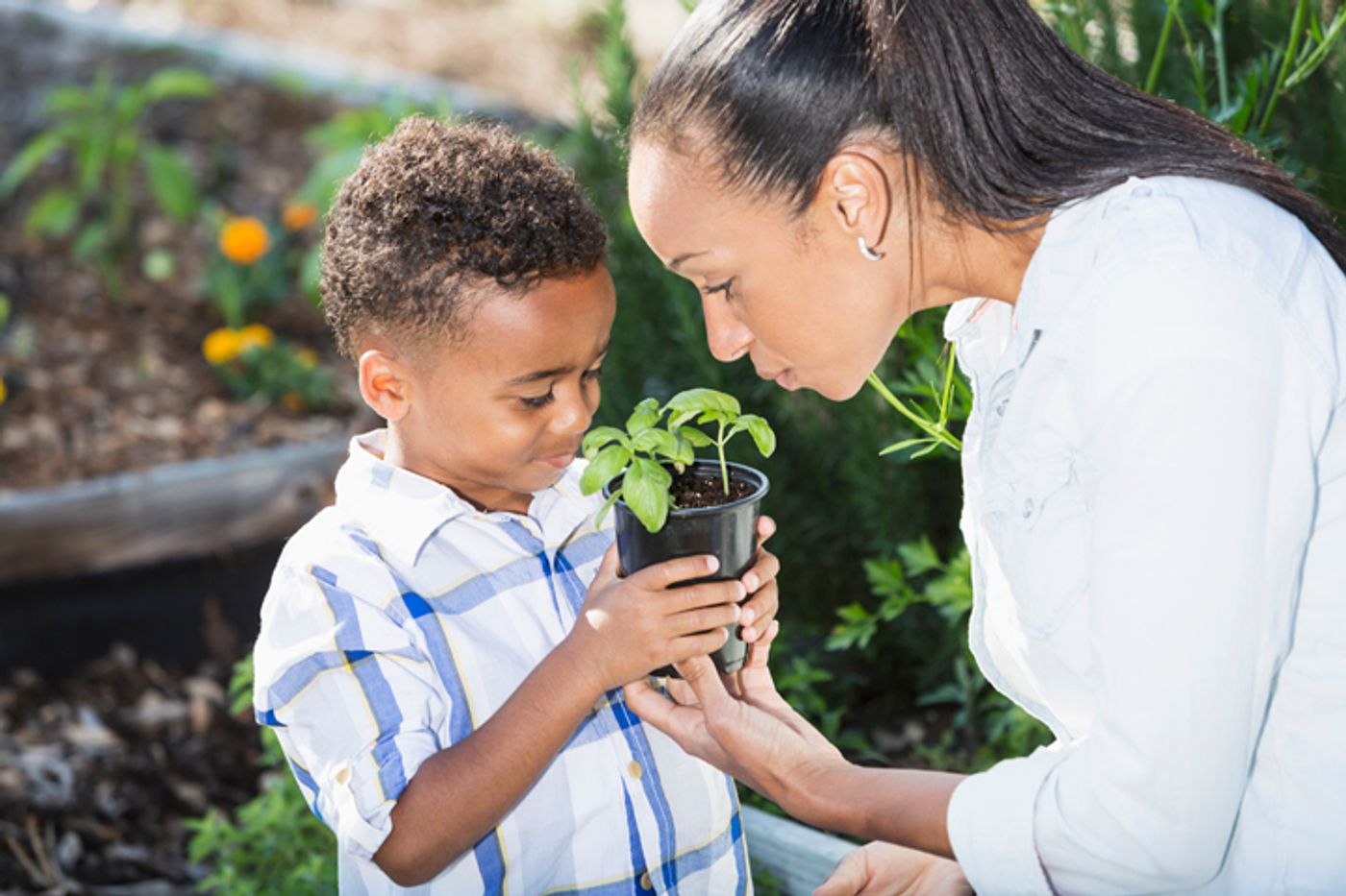 Mother with child holding potted seedling in food garden setting