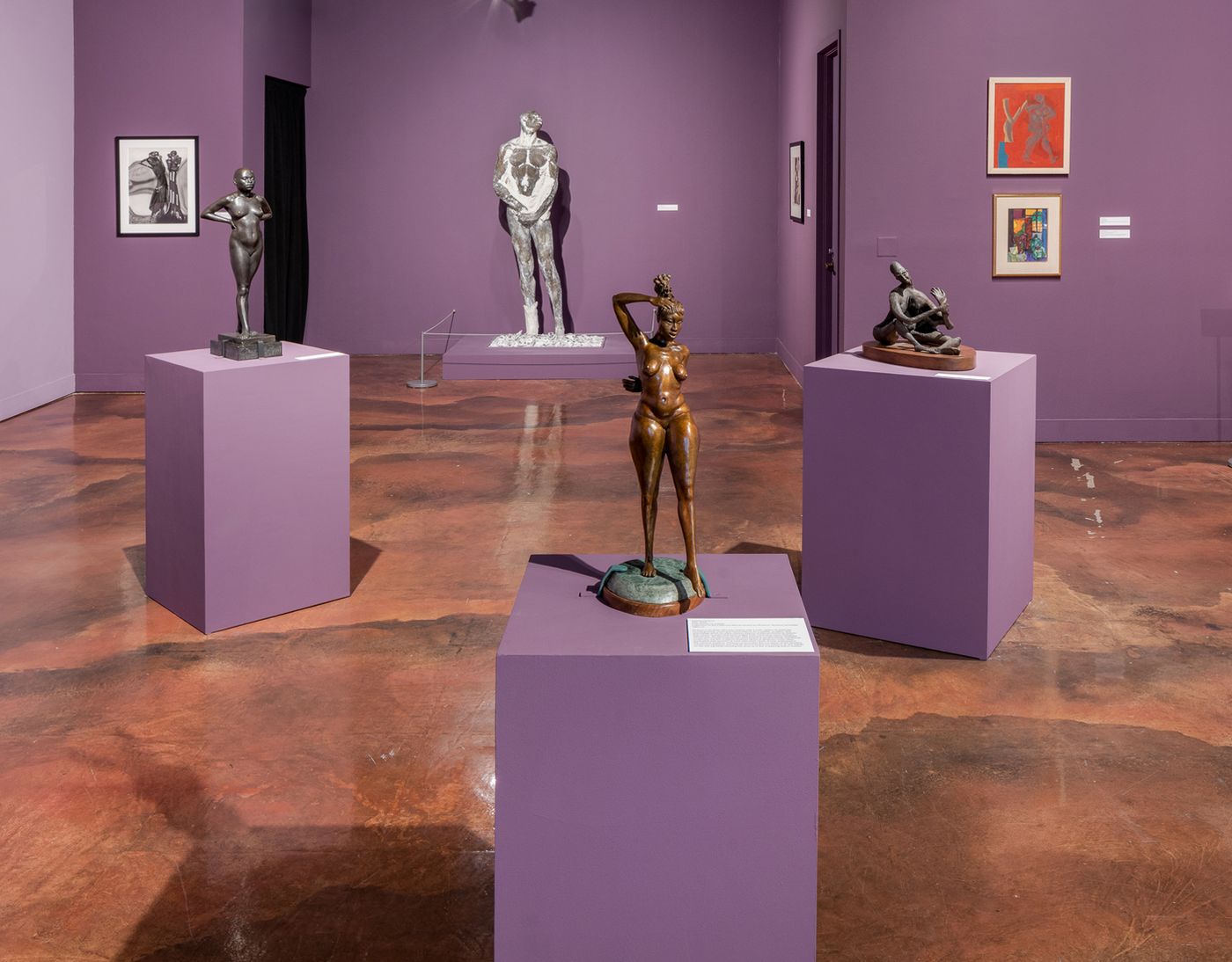 Installation view of Aspects of Nude: Selections from the Permanent Collection