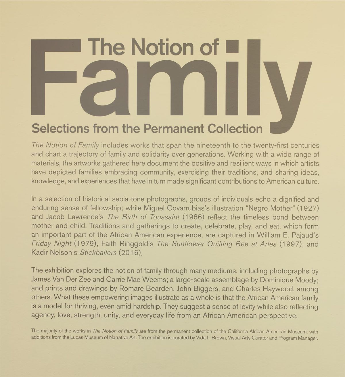 Wall text for, The Notion of Family