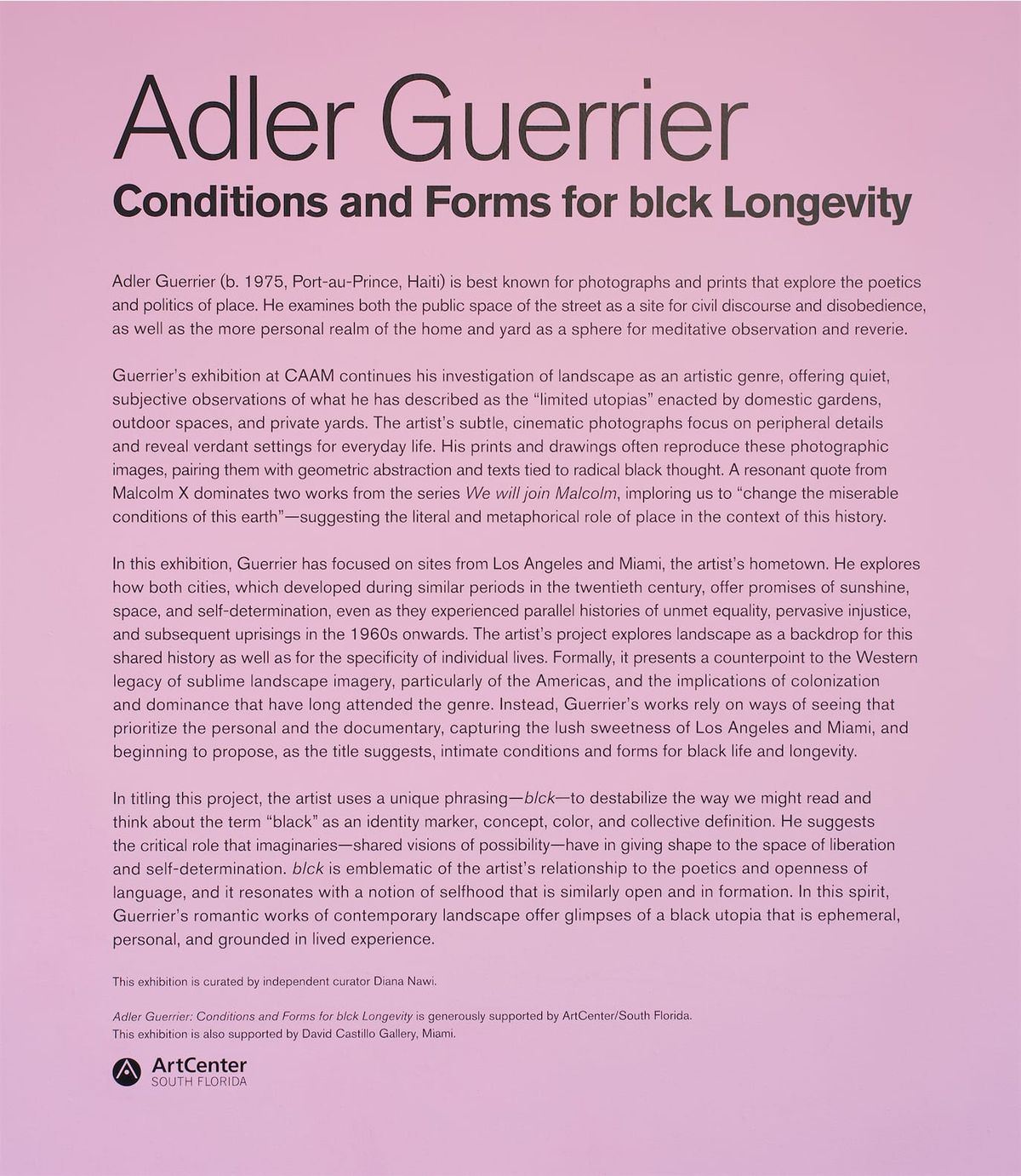 Wall text for Adler Guerrier exhibition